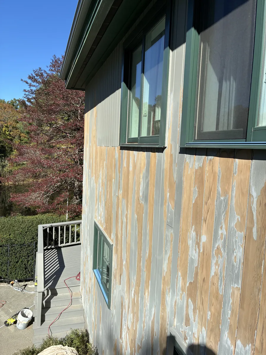 Project before Worthley Painting